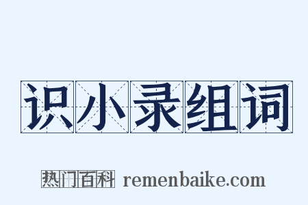 识小录组词是什么意思的图片